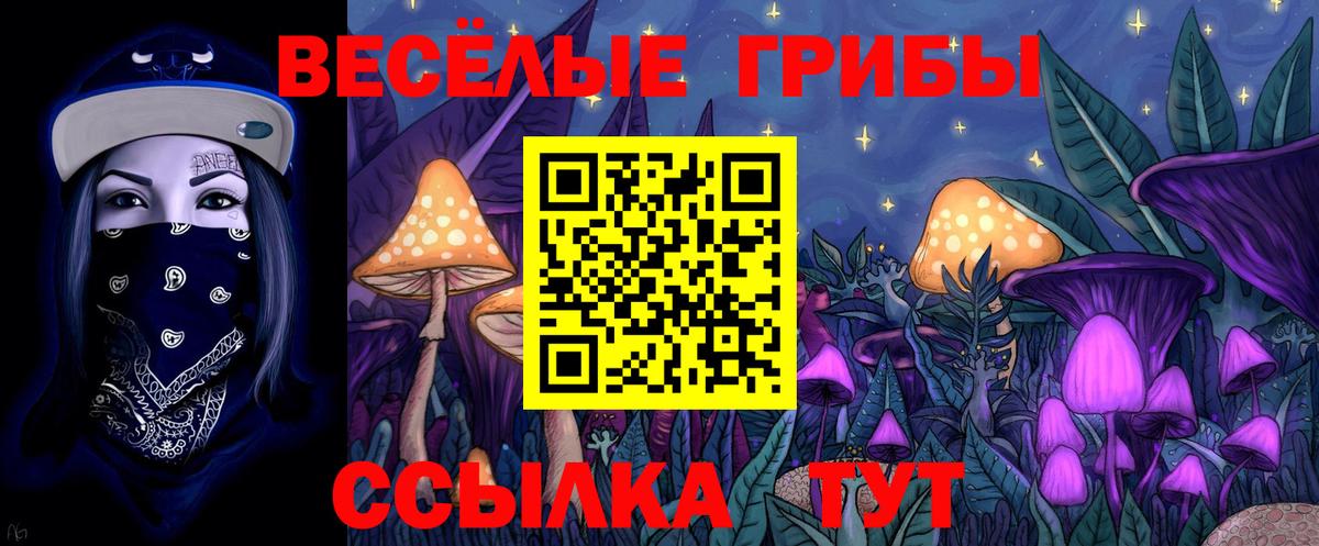 Галлюциногенные грибы прущие грибы  Псилоцибиновые грибы прущие грибы  Ишим  Вход с VPN 